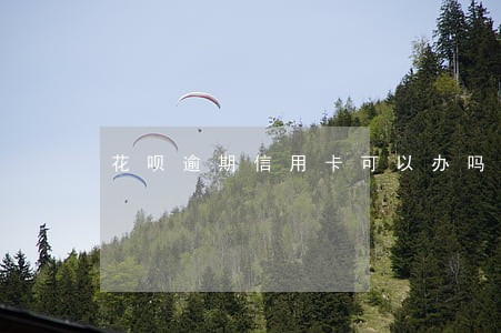 花呗逾期信用卡可以办吗 花呗逾期信用卡可以办吗