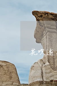 花呗逾期信用卡提额吗 花呗逾期信用卡提额吗