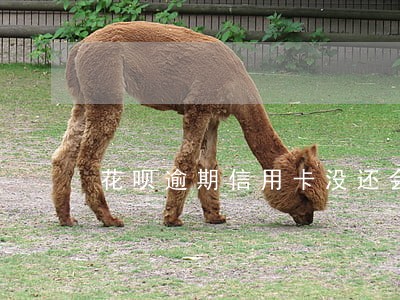 花呗逾期信用卡没还会怎么样
