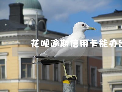 花呗逾期信用卡能办出来吗 花呗逾期信用卡能办出来吗