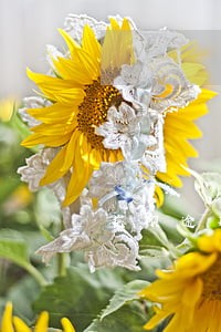 花呗逾期信用卡透支 花呗逾期信用卡透支