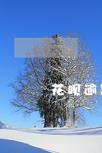 花呗逾期信用怎么扣 花呗逾期信用怎么扣
