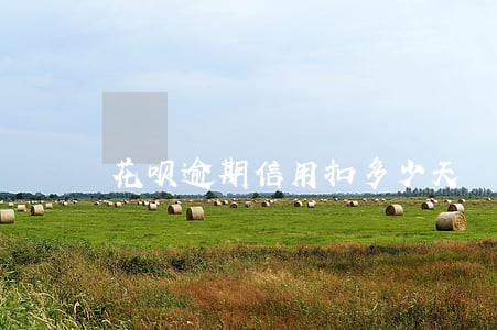 花呗逾期信用扣多少天 花呗逾期信用扣多少天