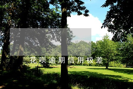 花呗逾期信用极差 花呗逾期信用极差