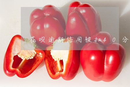 花呗逾期信用被扣40分 花呗逾期信用被扣40分