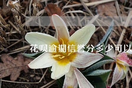 花呗逾期信誉分多少可以恢复 花呗逾期信誉分多少可以恢复