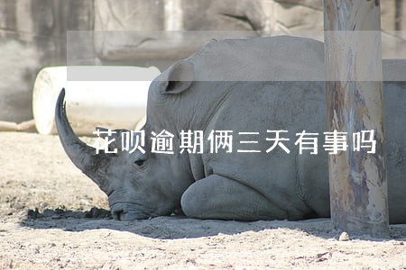 花呗逾期俩三天有事吗 花呗逾期俩三天有事吗