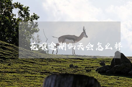 花呗逾期俩天会怎么样 花呗逾期俩天会怎么样