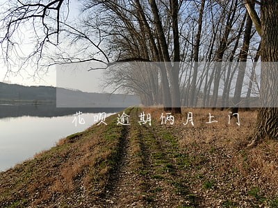 花呗逾期俩月上门 花呗逾期俩月上门