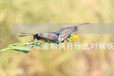 花呗逾期俩月什么时候恢复使用 花呗逾期俩月什么时候恢复使用