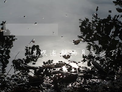 花呗逾期俩月冻结了 花呗逾期俩月冻结了