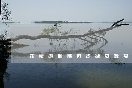 花呗逾期俩月还能贷款买房么 花呗逾期俩月还能贷款买房么