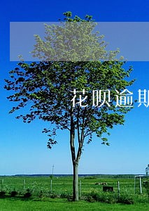 花呗逾期修复了为什么还不能用 花呗逾期修复了为什么还不能用