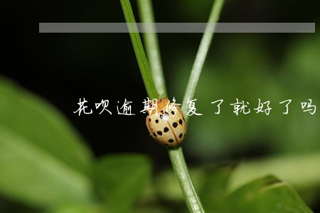 花呗逾期修复了就好了吗