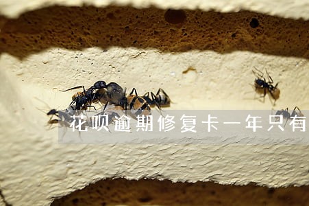 花呗逾期修复卡一年只有一次 花呗逾期修复卡一年只有一次