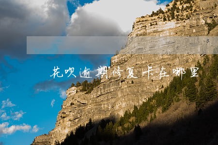 花呗逾期修复卡在哪里 花呗逾期修复卡在哪里