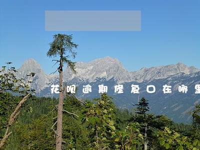 花呗逾期修复口在哪里 花呗逾期修复口在哪里