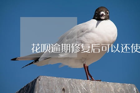 花呗逾期修复后可以还使用 花呗逾期修复后可以还使用