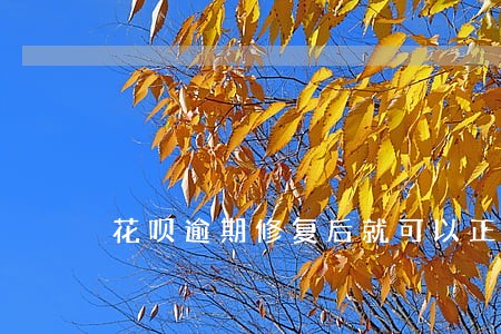 花呗逾期修复后就可以正常使用 花呗逾期修复后就可以正常使用