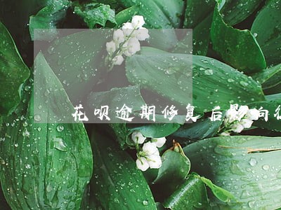 花呗逾期修复后影响征信吗 花呗逾期修复后影响征信吗