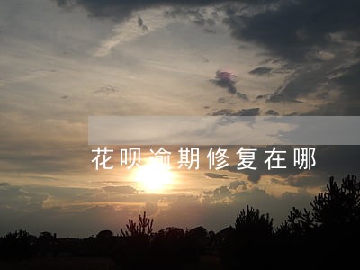 花呗逾期修复在哪 花呗逾期修复在哪