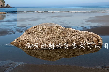 花呗逾期修复多久可以用 花呗逾期修复多久可以用