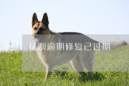 花呗逾期修复已过期 花呗逾期修复已过期