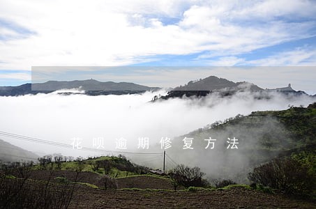花呗逾期修复方法 花呗逾期修复方法