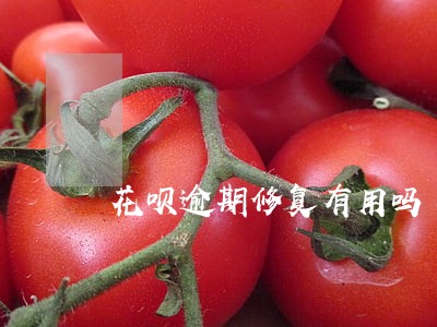 花呗逾期修复有用吗 花呗逾期修复有用吗