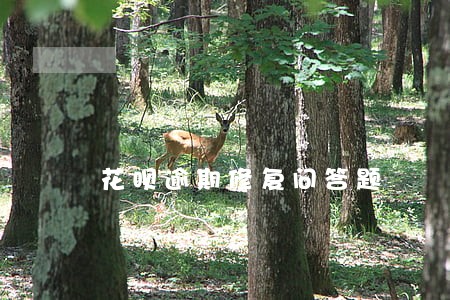 花呗逾期修复问答题 花呗逾期修复问答题
