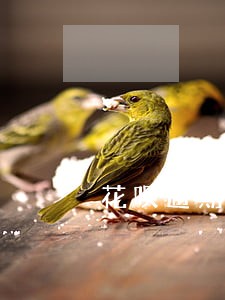 花呗逾期修复题目