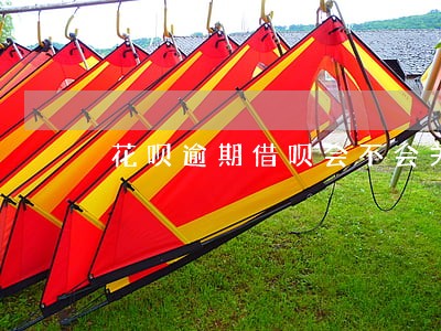 花呗逾期借呗会不会关闭 花呗逾期借呗会不会关闭
