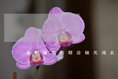 花呗逾期借呗会被关闭么 花呗逾期借呗会被关闭么