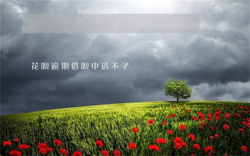 花呗逾期借呗申请不了 花呗逾期借呗申请不了