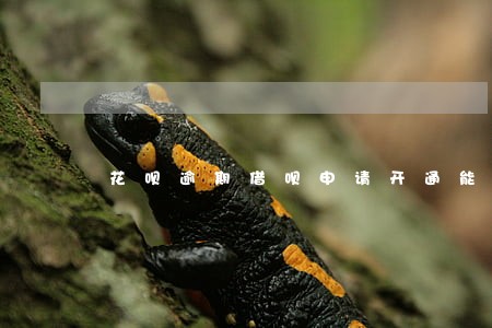 花呗逾期借呗申请开通能过么 花呗逾期借呗申请开通能过么