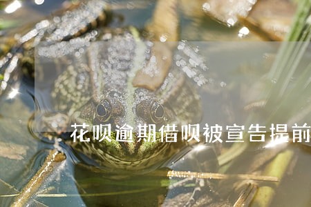 花呗逾期借呗被宣告提前合同到期 花呗逾期借呗被宣告提前合同到期