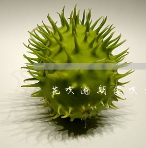 花呗逾期借呗请结清后使用 花呗逾期借呗请结清后使用