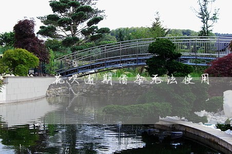 花呗逾期借条无法使用 花呗逾期借条无法使用