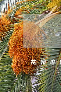 花呗逾期做捷信会有影响吗 花呗逾期做捷信会有影响吗