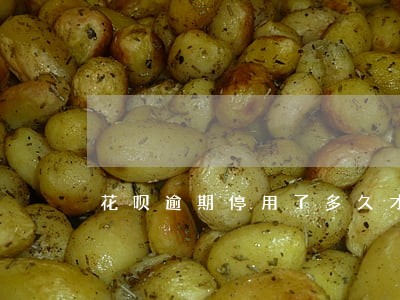 花呗逾期停用了多久才能恢复 花呗逾期停用了多久才能恢复