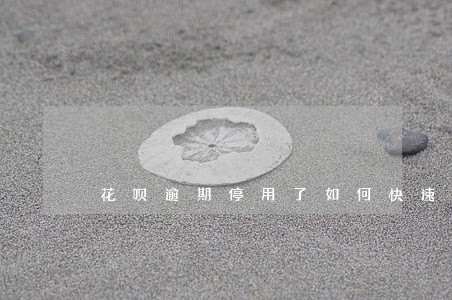 花呗逾期停用了如何快速恢复 花呗逾期停用了如何快速恢复