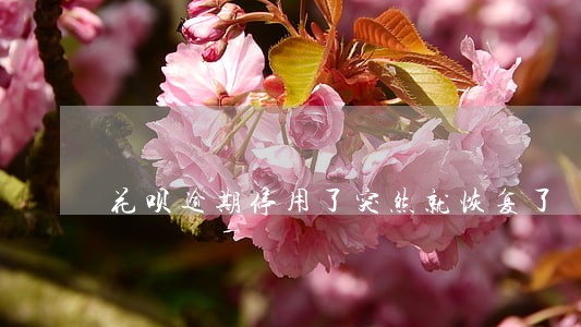 花呗逾期停用了突然就恢复了 花呗逾期停用了突然就恢复了
