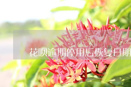 花呗逾期停用后恢复日期是随机吗 花呗逾期停用后恢复日期是随机吗