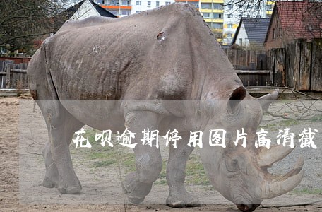 花呗逾期停用图片高清截图 花呗逾期停用图片高清截图
