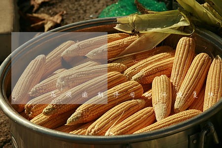 花呗逾期停用如何恢复快 花呗逾期停用如何恢复快
