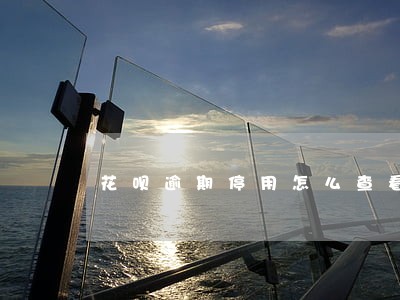 花呗逾期停用怎么查看恢复期 花呗逾期停用怎么查看恢复期