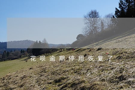 花呗逾期停用恢复了 花呗逾期停用恢复了