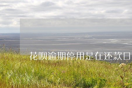 花呗逾期停用是在还款日后恢复吗 花呗逾期停用是在还款日后恢复吗