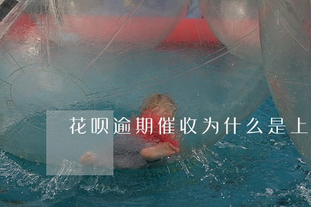 花呗逾期催收为什么是上海号 花呗逾期催收为什么是上海号