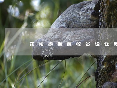 花呗逾期催收员说让我名誉受损 花呗逾期催收员说让我名誉受损